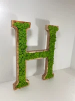 3d dřevěné písmena s sobí mechem pro logo