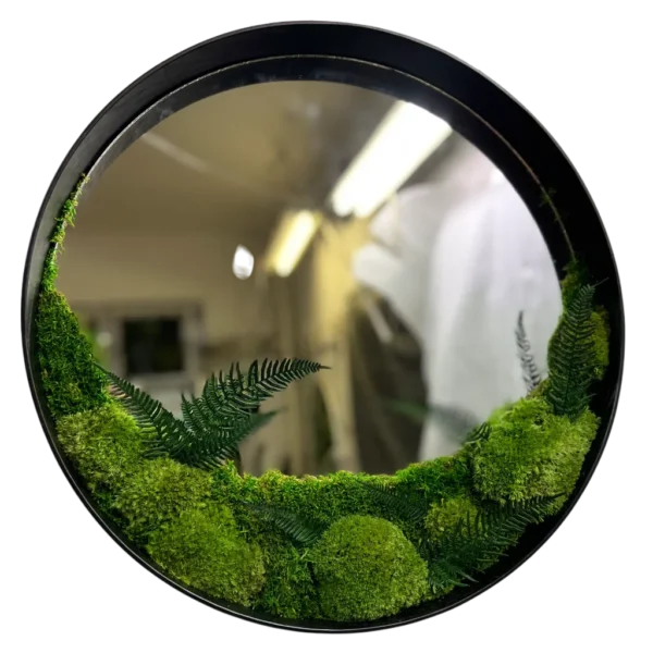 Mechové zrcadlo s kopečkovým, siberian mechem a rostlinami