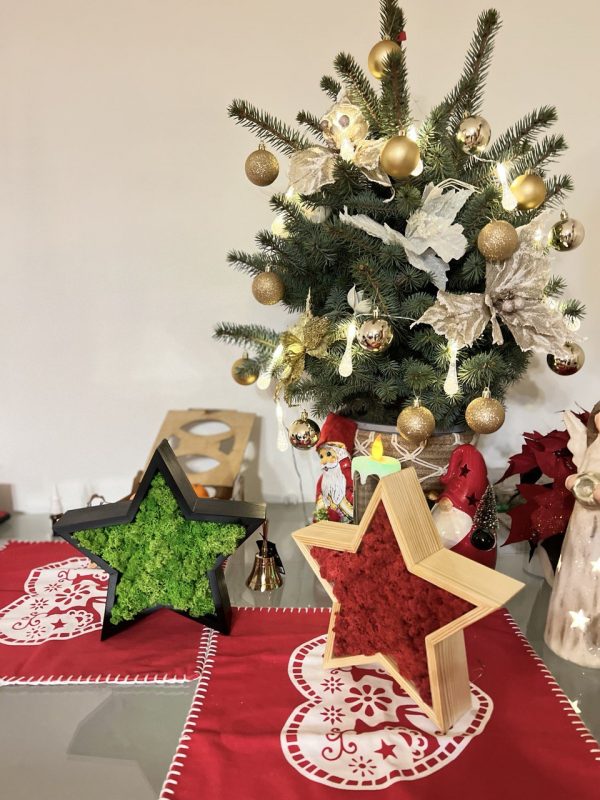 Vánoční hvězda vyrobená ze dřeva a lišejníku
