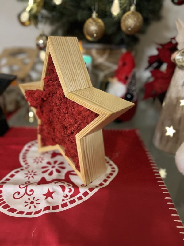 Vánoční hvězda vyrobená ze dřeva a lišejníku
