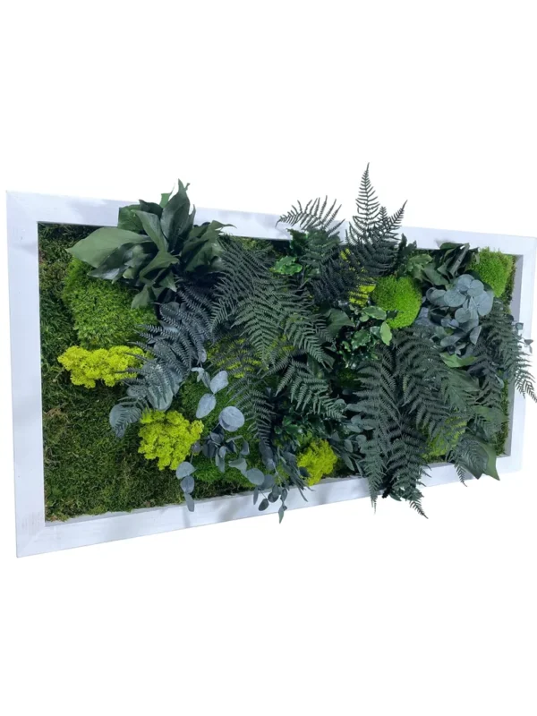 Obdélníkový mechový obraz jungle s stabilizovanými rostlinami