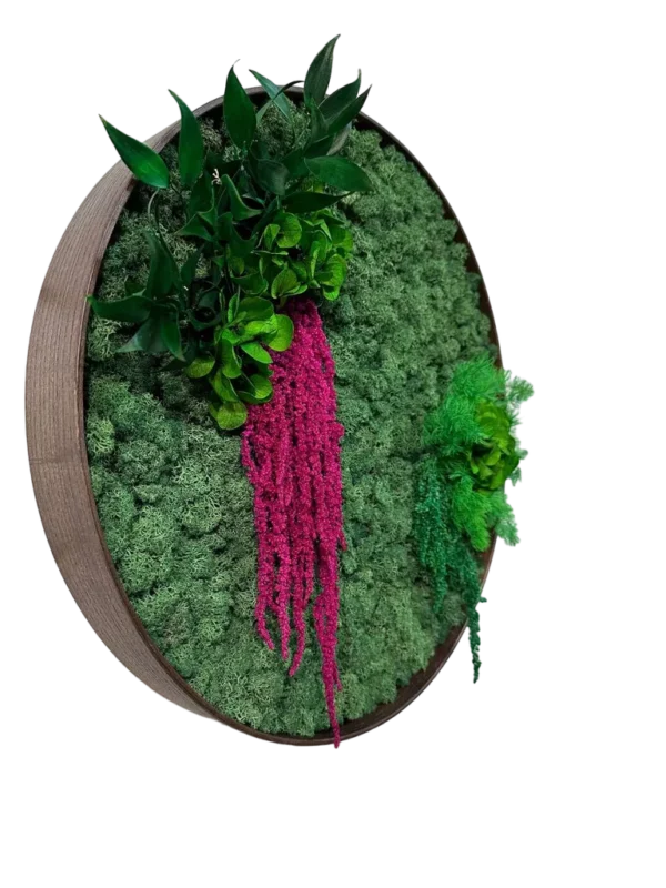 Kulatý mechový obraz s sobí mechem a rostlinami